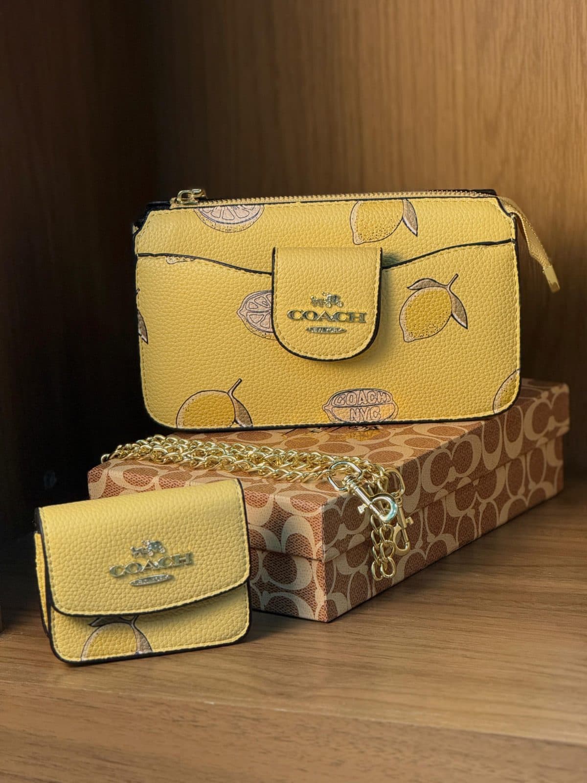 CARTERA COACH 008